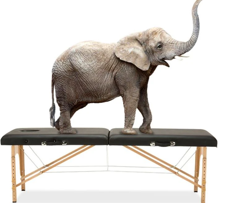 Eksamen sofaen